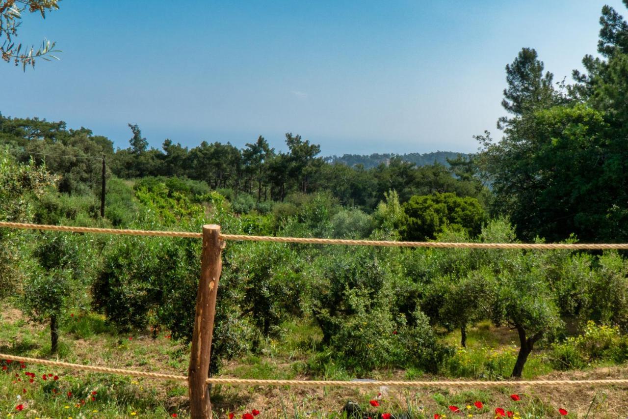 Luxury Dome Tents Ikaria Ap'esso2 Raches (Ikaria)